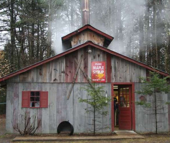 Hadley Maple in April Festival